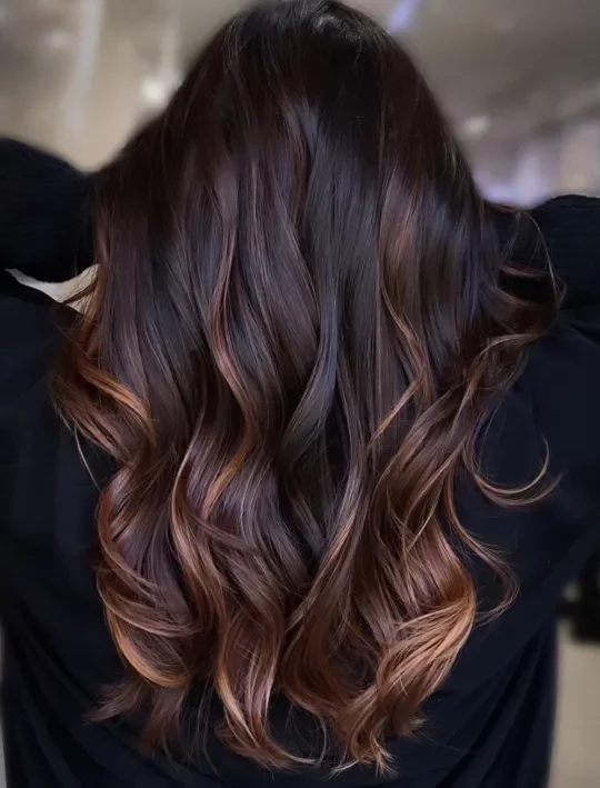 black hair with caramel brown highlights e1650478920215